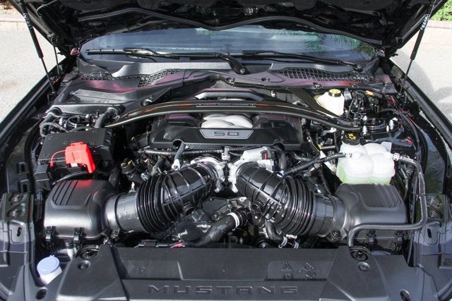 2024 Ford Mustang Dark Horse