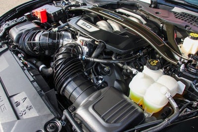 2024 Ford Mustang Dark Horse