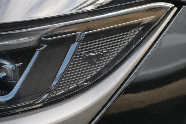 2024 Ford Mustang Dark Horse