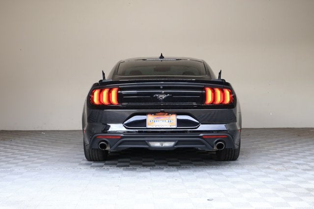 2023 Ford Mustang EcoBoost