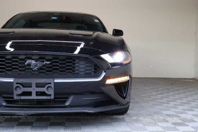 2023 Ford Mustang EcoBoost