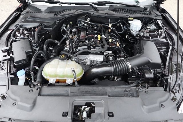 2023 Ford Mustang EcoBoost