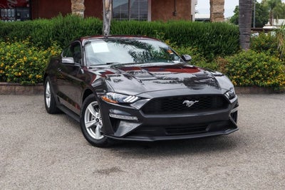 2023 Ford Mustang EcoBoost
