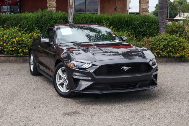 2023 Ford Mustang EcoBoost