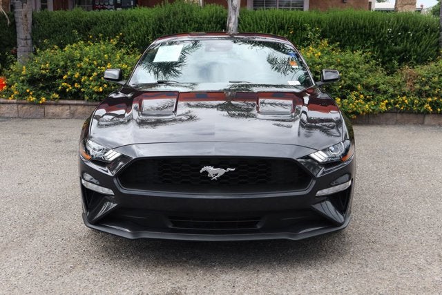 2023 Ford Mustang EcoBoost