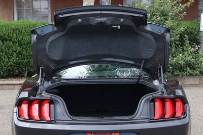 2023 Ford Mustang EcoBoost