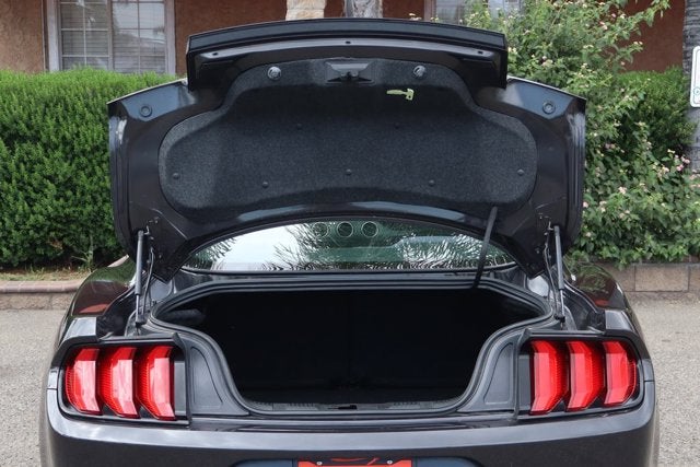 2023 Ford Mustang EcoBoost