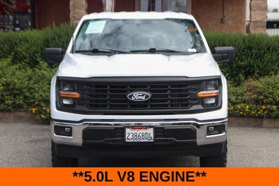 2024 Ford F-150 XL