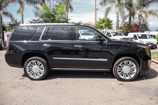 2019 Cadillac Escalade Platinum Edition