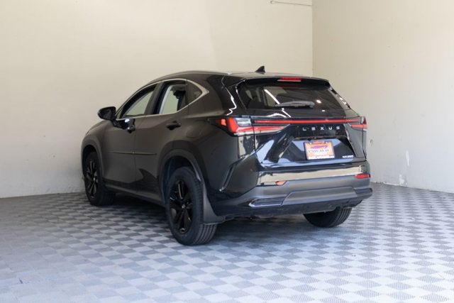 2023 Lexus NX 250 Base