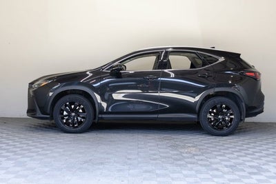 2023 Lexus NX 250 Base