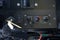2020 Freightliner M Line Walk-In Van