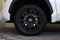2025 Toyota Tundra 4WD Limited