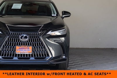 2024 Lexus NX 350h Premium