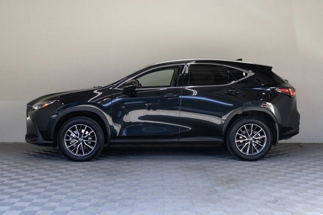 2024 Lexus NX 350h Premium